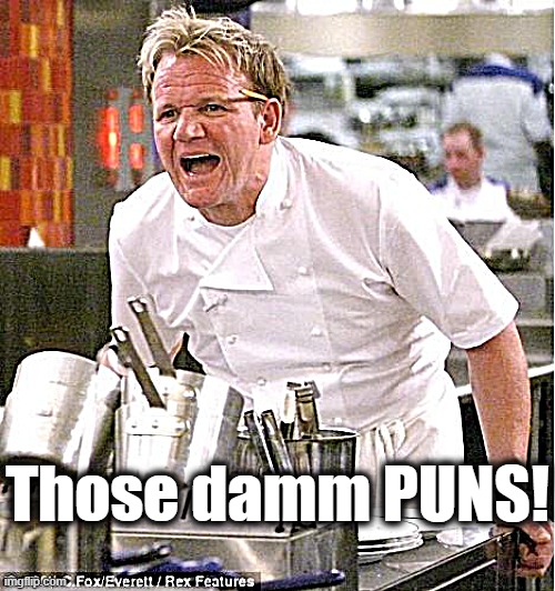 Chef Gordon Ramsay Meme | Those damm PUNS! | image tagged in memes,chef gordon ramsay | made w/ Imgflip meme maker