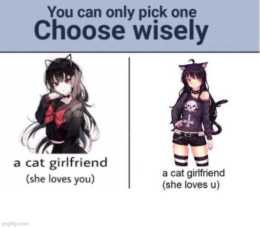 Choose wisely | image tagged in choose wisely | made w/ Imgflip meme maker