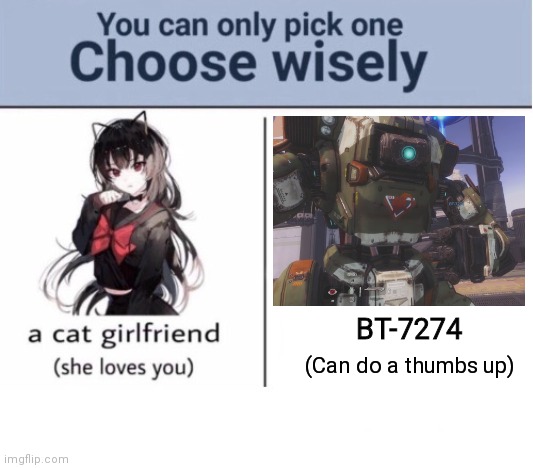 Choose wisely | BT-7274; (Can do a thumbs up) | image tagged in choose wisely | made w/ Imgflip meme maker