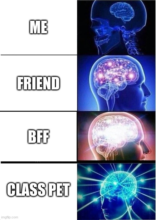 Expanding Brain | ME; FRIEND; BFF; CLASS PET | image tagged in memes,expanding brain | made w/ Imgflip meme maker