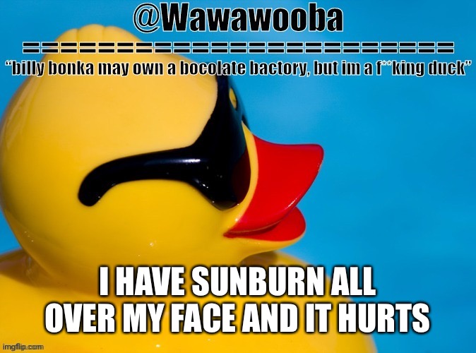 But at least I have ocean waves that slam me into the ground and snap my back | I HAVE SUNBURN ALL OVER MY FACE AND IT HURTS | image tagged in wawa s announcement temp | made w/ Imgflip meme maker