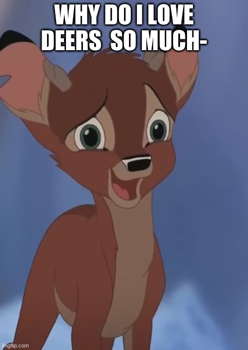 r0nnO | WHY DO I LOVE DEERS  SO MUCH- | image tagged in r0nno | made w/ Imgflip meme maker