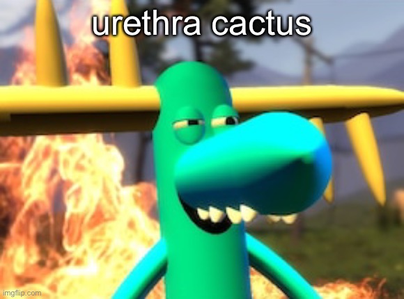 haha | urethra cactus | made w/ Imgflip meme maker