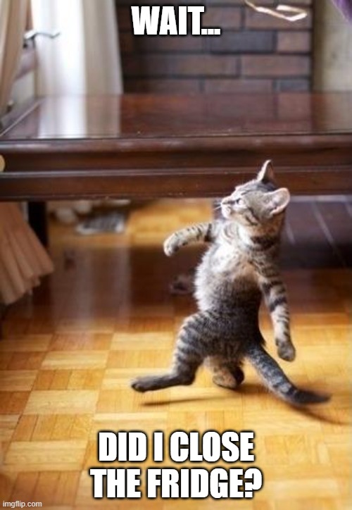 Cool Cat Stroll Meme | WAIT... DID I CLOSE THE FRIDGE? | image tagged in memes,cool cat stroll | made w/ Imgflip meme maker