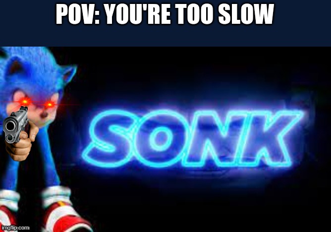 Pov: You're too slow | POV: YOU'RE TOO SLOW | image tagged in sonk,you're too slow sonic,memes,pov | made w/ Imgflip meme maker