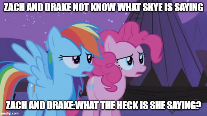 Bruh | ZACH AND DRAKE NOT KNOW WHAT SKYE IS SAYING; ZACH AND DRAKE:WHAT THE HECK IS SHE SAYING? | image tagged in mlp pinkie pie rainbow dash | made w/ Imgflip meme maker
