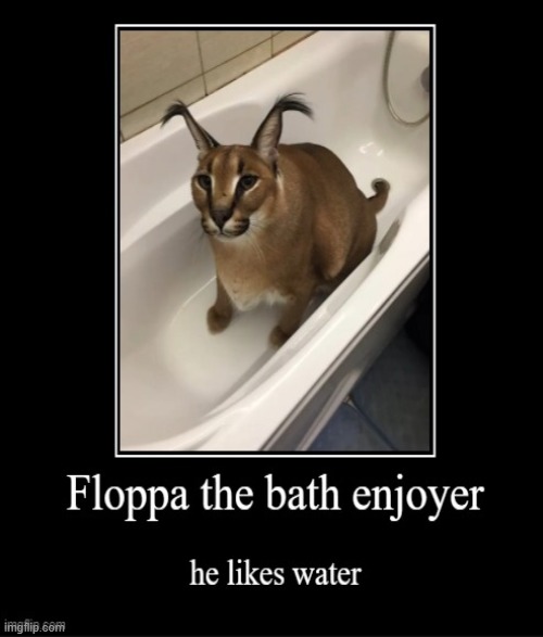 floppa bath | image tagged in bathroom,funny | made w/ Imgflip meme maker