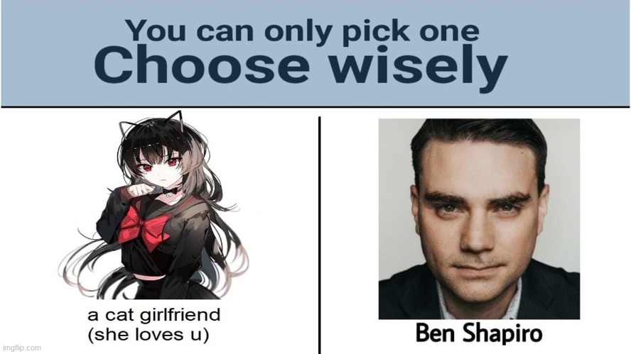 i choose cat gf | made w/ Imgflip meme maker