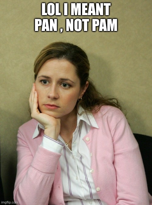 Pam Beasley Office | LOL I MEANT PAN , NOT PAM | image tagged in pam beasley office | made w/ Imgflip meme maker