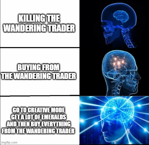 What to do with the Wandering trader | KILLING THE WANDERING TRADER; BUYING FROM THE WANDERING TRADER; GO TO CREATIVE MODE GET A LOT OF EMERALDS AND THEN BUY EVERYTHING FROM THE WANDERING TRADER | image tagged in galaxy brain 3 brains | made w/ Imgflip meme maker