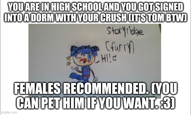 High School rp with the bean Tom. :D | YOU ARE IN HIGH SCHOOL AND YOU GOT SIGNED INTO A DORM WITH YOUR CRUSH (IT'S TOM BTW); FEMALES RECOMMENDED. (YOU CAN PET HIM IF YOU WANT. :3) | image tagged in roleplaying | made w/ Imgflip meme maker