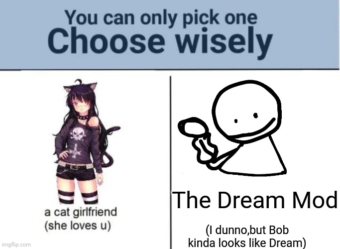 Dream | The Dream Mod; (I dunno,but Bob kinda looks like Dream) | image tagged in choose wisely,dream | made w/ Imgflip meme maker