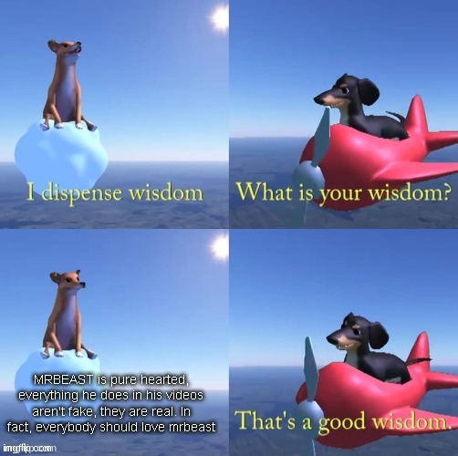 Wisdom dog | MRBEAST is pure hearted, everything he does in his videos aren't fake, they are real. In fact, everybody should love mrbeast | image tagged in wisdom dog | made w/ Imgflip meme maker