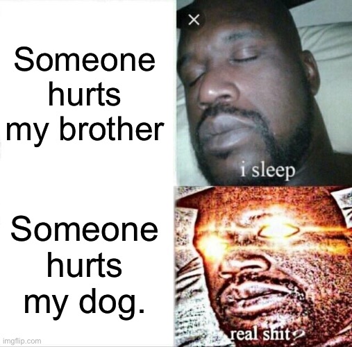 Alright major controversy in the comments let’s go!!! | Someone hurts my brother; Someone hurts my dog. | image tagged in memes,sleeping shaq | made w/ Imgflip meme maker