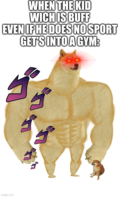 me | WHEN THE KID
WICH IS BUFF
EVEN IF HE DOES NO SPORT
GET'S INTO A GYM: | image tagged in blank white template,swole doge,buff,memes,funny | made w/ Imgflip meme maker