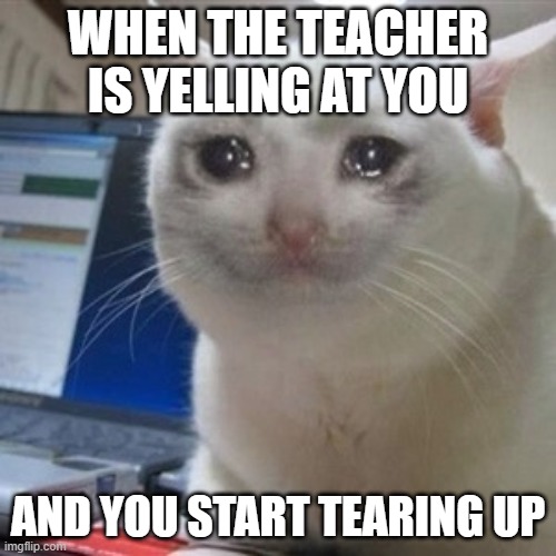 Crying cat | WHEN THE TEACHER IS YELLING AT YOU; AND YOU START TEARING UP | image tagged in crying cat | made w/ Imgflip meme maker