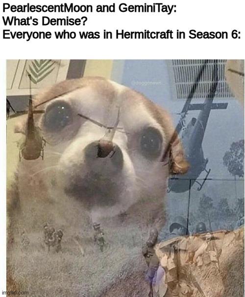 Hey, Hermitcraft Fans! Do you remember Demise? | PearlescentMoon and GeminiTay: What's Demise?
Everyone who was in Hermitcraft in Season 6: | image tagged in ptsd chihuahua | made w/ Imgflip meme maker
