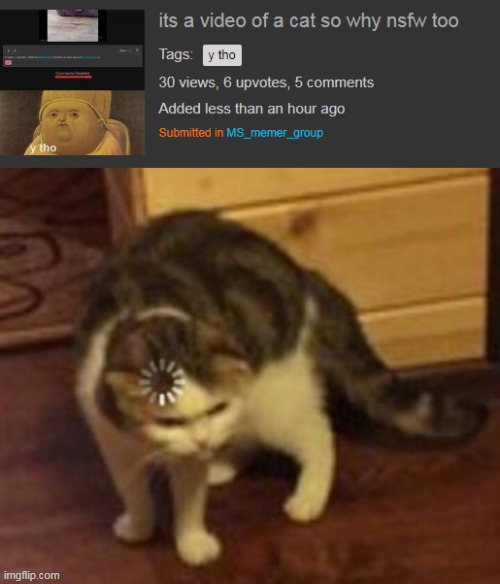 aight who did this | image tagged in loading cat | made w/ Imgflip meme maker