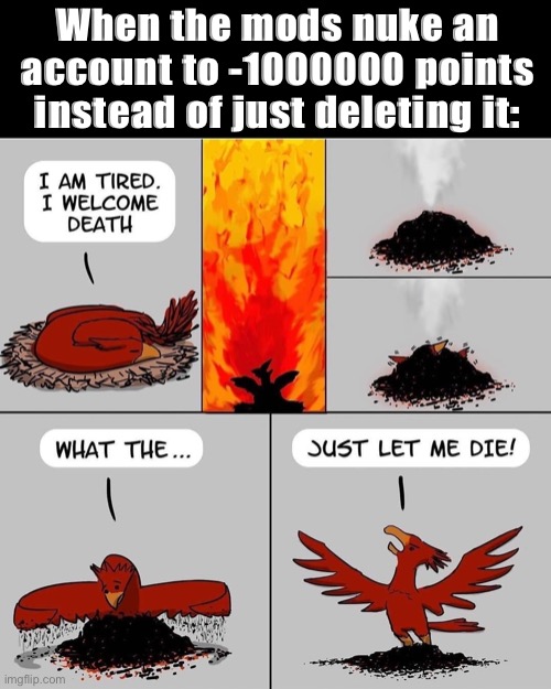 I actually missed a zero there | When the mods nuke an account to -1000000 points instead of just deleting it: | image tagged in suicidal phoenix | made w/ Imgflip meme maker