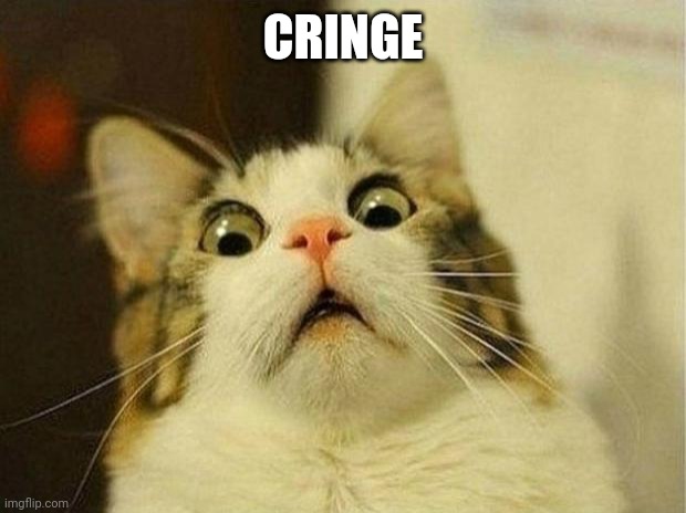 Scared Cat | CRINGE | image tagged in memes,scared cat | made w/ Imgflip meme maker