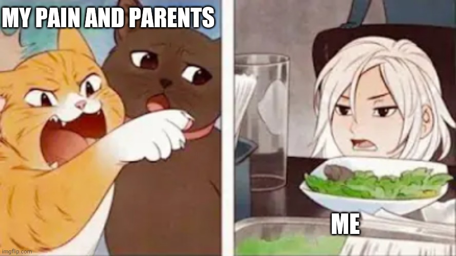 STRESS | MY PAIN AND PARENTS; ME | image tagged in memes | made w/ Imgflip meme maker