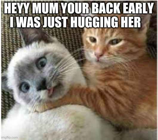 HEYY MUM YOUR BACK EARLY I WAS JUST HUGGING HER | image tagged in lol | made w/ Imgflip meme maker