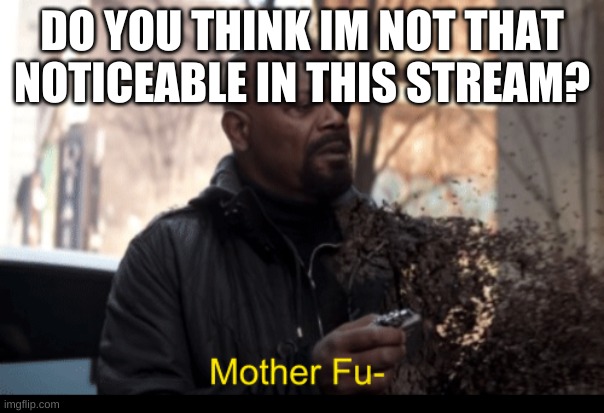 Mother fu | DO YOU THINK IM NOT THAT NOTICEABLE IN THIS STREAM? | image tagged in mother fu | made w/ Imgflip meme maker