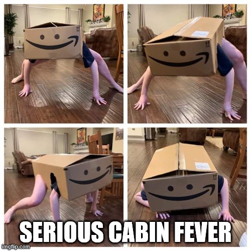Cabin fever |  SERIOUS CABIN FEVER | image tagged in amazon box man | made w/ Imgflip meme maker