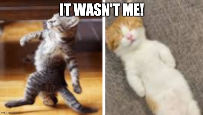 IT WASN'T ME! | image tagged in lol | made w/ Imgflip meme maker