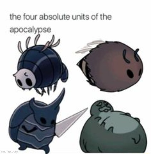 the absolute units | image tagged in hollow knight | made w/ Imgflip meme maker