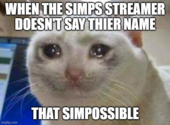 cat crying | WHEN THE SIMPS STREAMER DOESN'T SAY THIER NAME; THAT SIMPOSSIBLE | image tagged in cat crying | made w/ Imgflip meme maker