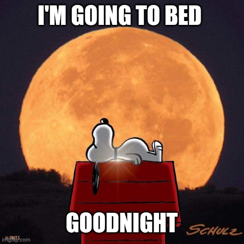 Goodnight | I'M GOING TO BED; GOODNIGHT | image tagged in goodnight | made w/ Imgflip meme maker