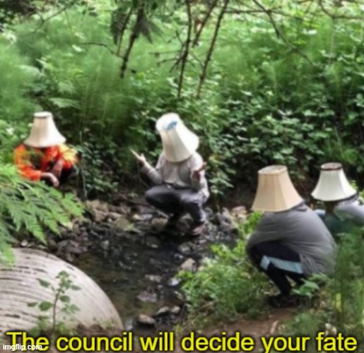 The council will decide your fate | image tagged in the council will decide your fate | made w/ Imgflip meme maker