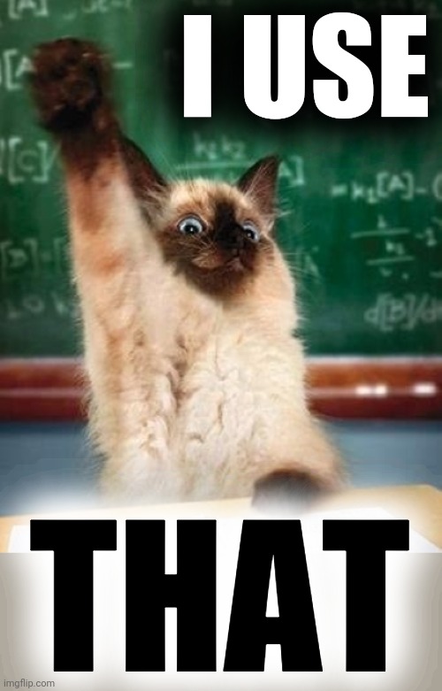 answer cat | I USE THAT | image tagged in answer cat | made w/ Imgflip meme maker