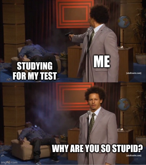 Who Killed Hannibal | ME; STUDYING FOR MY TEST; WHY ARE YOU SO STUPID? | image tagged in memes,who killed hannibal | made w/ Imgflip meme maker