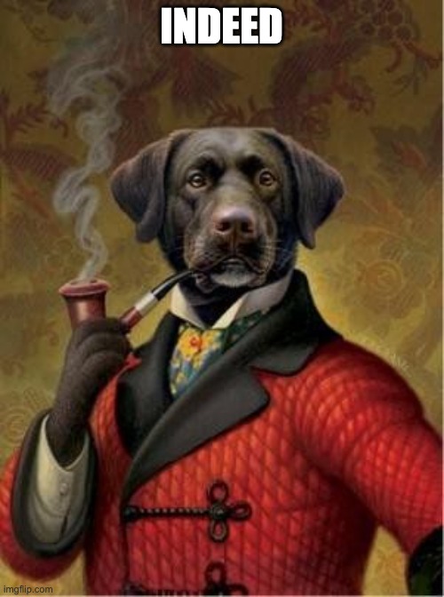 Indeed Dog | INDEED | image tagged in indeed dog | made w/ Imgflip meme maker