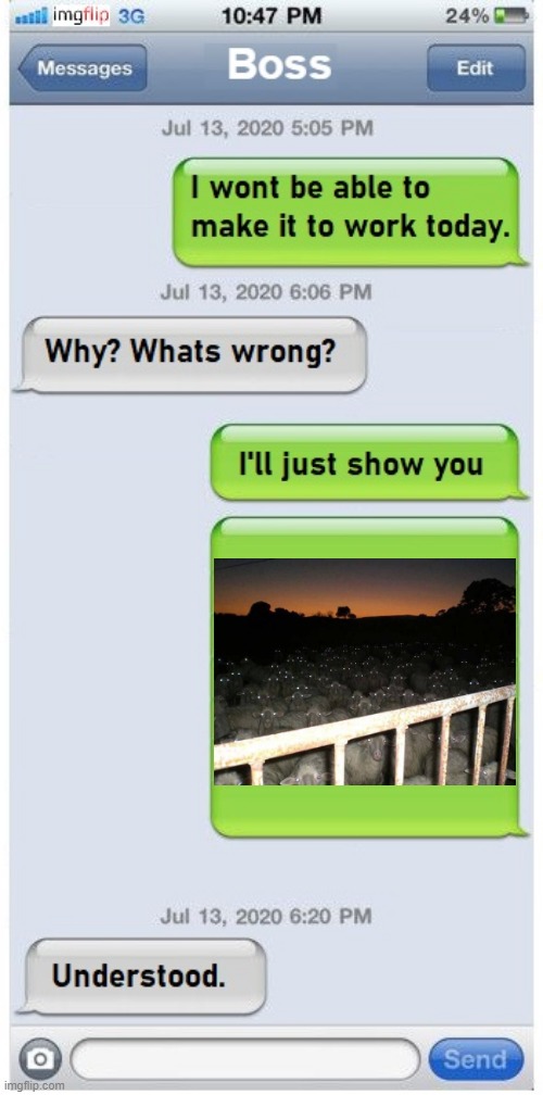 BETTER JUST STAY HOME | image tagged in wtf,work,sheep,txt,texting | made w/ Imgflip meme maker