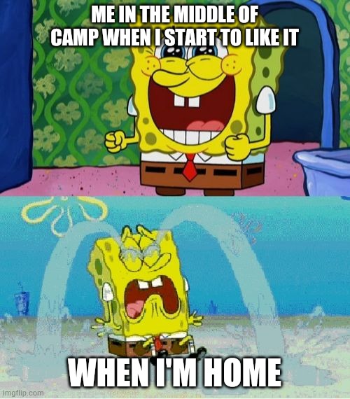 spongebob happy and sad | ME IN THE MIDDLE OF CAMP WHEN I START TO LIKE IT; WHEN I'M HOME | image tagged in spongebob happy and sad | made w/ Imgflip meme maker