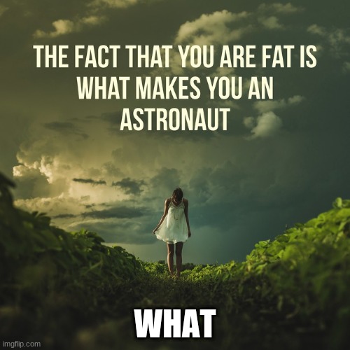 WHAT | made w/ Imgflip meme maker