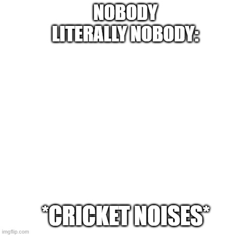 nObODy | NOBODY
LITERALLY NOBODY:; *CRICKET NOISES* | image tagged in blank white template | made w/ Imgflip meme maker