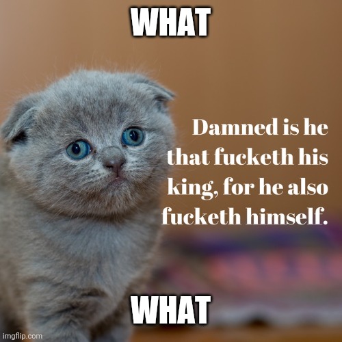 WHAT; WHAT | made w/ Imgflip meme maker