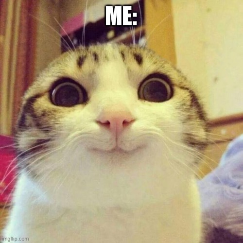 Smiling Cat Meme | ME: | image tagged in memes,smiling cat | made w/ Imgflip meme maker