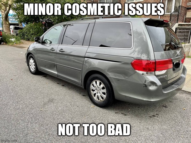 MINOR COSMETIC ISSUES; NOT TOO BAD | made w/ Imgflip meme maker