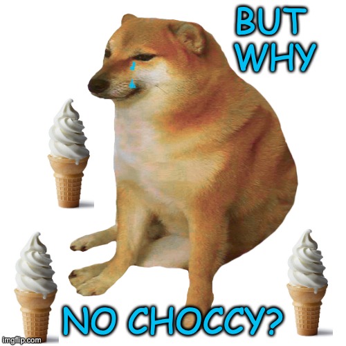 Cheems asks the important questions | BUT 
WHY; NO CHOCCY? | image tagged in cheems,chocolate,choccy,ice cream | made w/ Imgflip meme maker