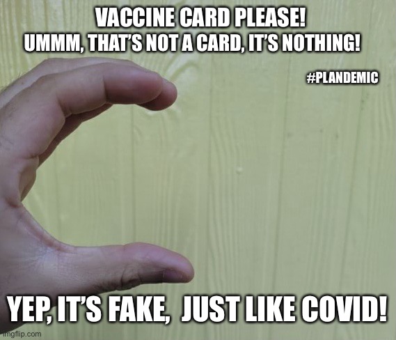 Here’s my card... | VACCINE CARD PLEASE! UMMM, THAT’S NOT A CARD, IT’S NOTHING! #PLANDEMIC; YEP, IT’S FAKE,  JUST LIKE COVID! | image tagged in here s my card | made w/ Imgflip meme maker