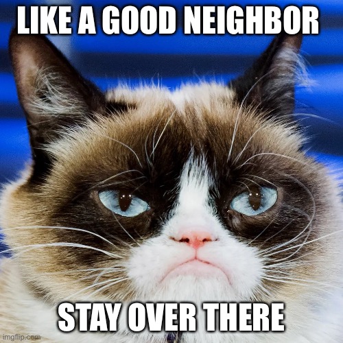 Grumpy cat | LIKE A GOOD NEIGHBOR; STAY OVER THERE | image tagged in grumpy cat,roll safe think about it | made w/ Imgflip meme maker