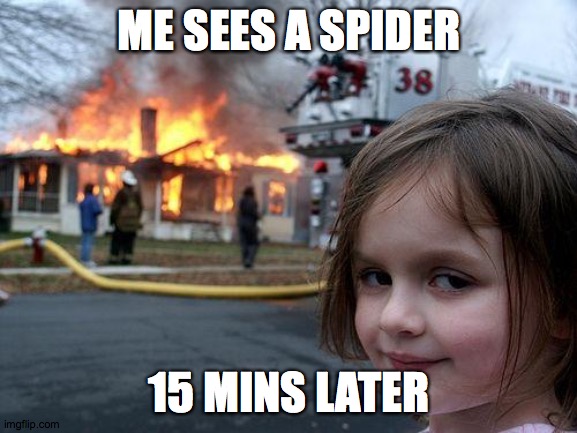 spider in the house | ME SEES A SPIDER; 15 MINS LATER | image tagged in memes,disaster girl | made w/ Imgflip meme maker