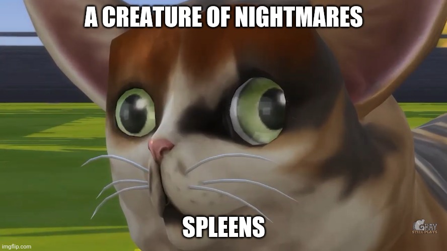 Spleens the cat | A CREATURE OF NIGHTMARES; SPLEENS | image tagged in spleens the cat | made w/ Imgflip meme maker