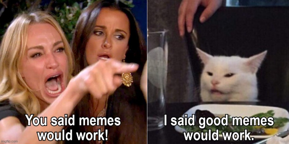 YOU SAID THIS WOULD WORK | image tagged in woman yelling at cat | made w/ Imgflip meme maker