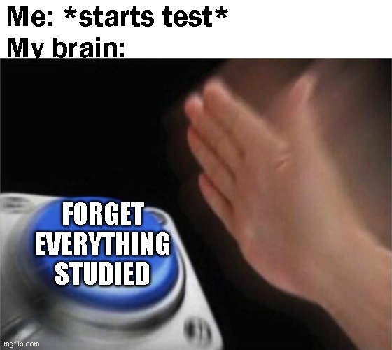 bro this is my brain | Me: *starts test*
My brain:; FORGET EVERYTHING STUDIED | image tagged in memes,blank nut button,school | made w/ Imgflip meme maker